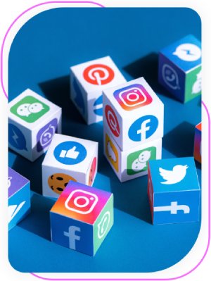 Social Media for Julia Barriga M.D. P.A in Tampa, FL